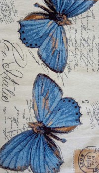 Art 3 0618-q03 WS